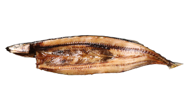 さんま（秋刀魚）